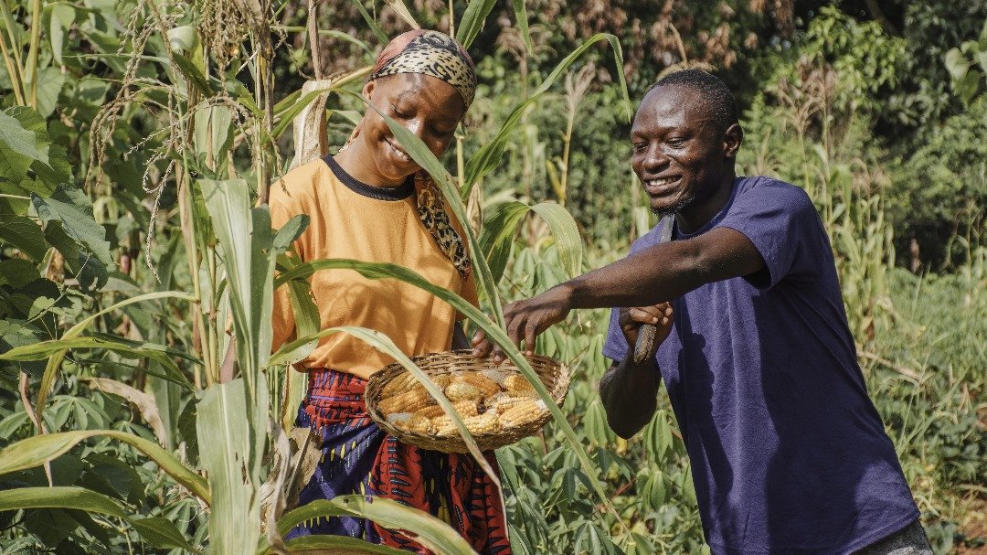 Farmers partnership